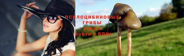 гидра Балахна