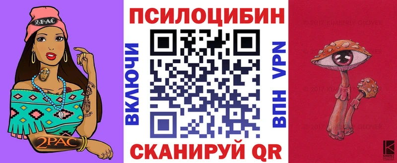 Псилоцибиновые грибы GOLDEN TEACHER  сколько стоит  Высоцк 
